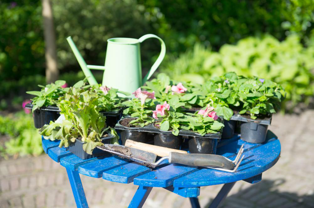4 Fun Activities For Seniors With Limited Mobility AvantGarde Senior